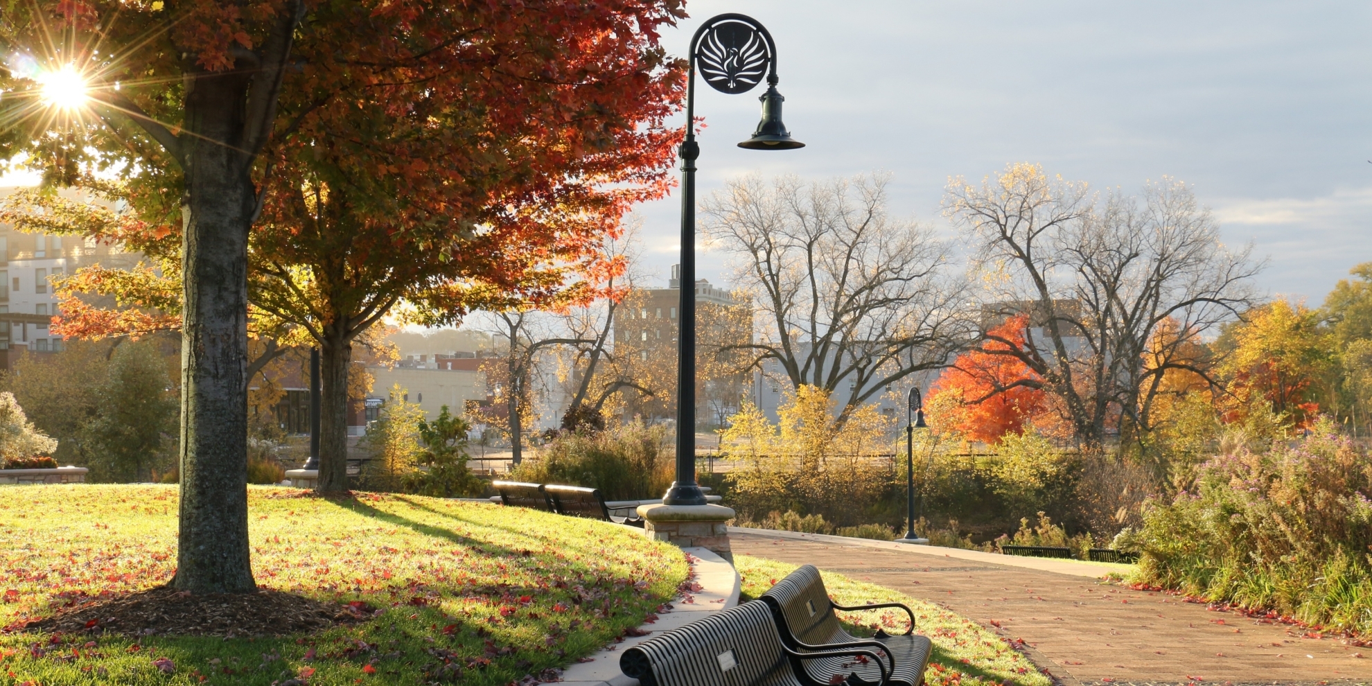 sun-path--light-post